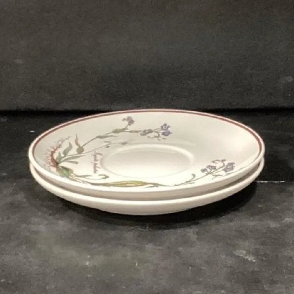 Villeroy & Boch Botanica Teacup and Saucers, Set of 2, Vintage Botanical Design